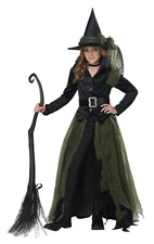 Cool Witch Wicked Oz Child Costume 