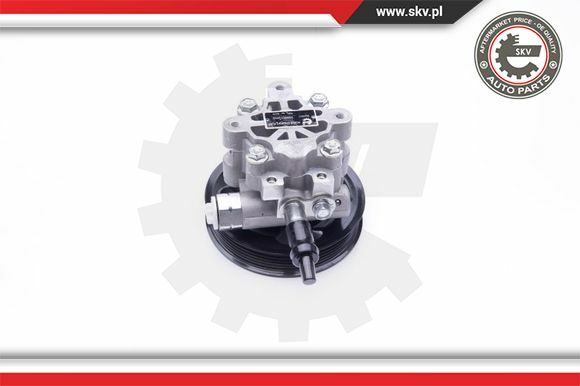 Esen SKV Servopumpe FüR Land Rover Range Sport LS Discovery III L319 10SKV265-image