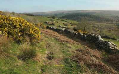 Photo 6x4 Bridleway to the West Dart valley Sherberton A glimpse of the r c2017