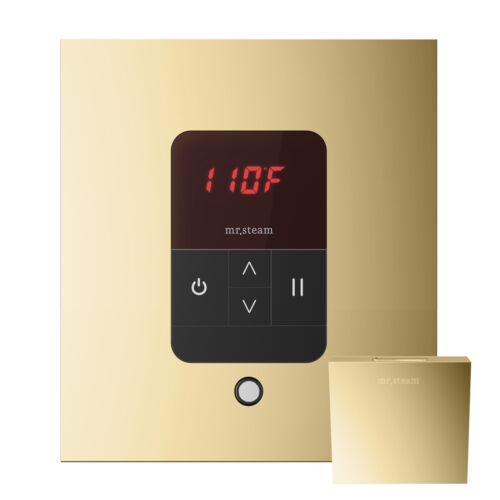 iTempo® Square Steam Shower Control in Polished Brass