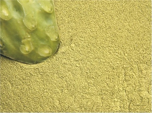 IL REGNO VEGETALE NOPAL FICO D'INDIA Opuntia Polvere 100g Meno Apporto Zuccheri Glicemia Snellente