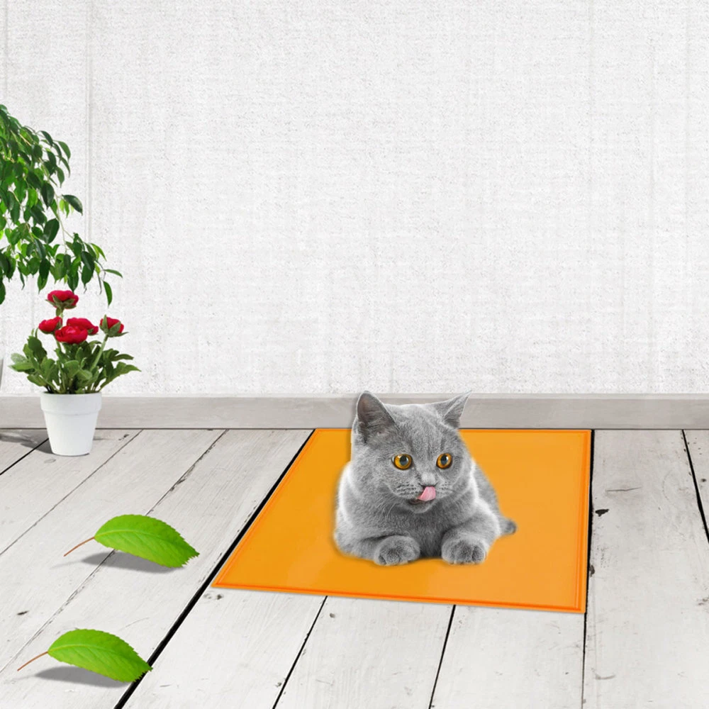 Rubber top pet mat