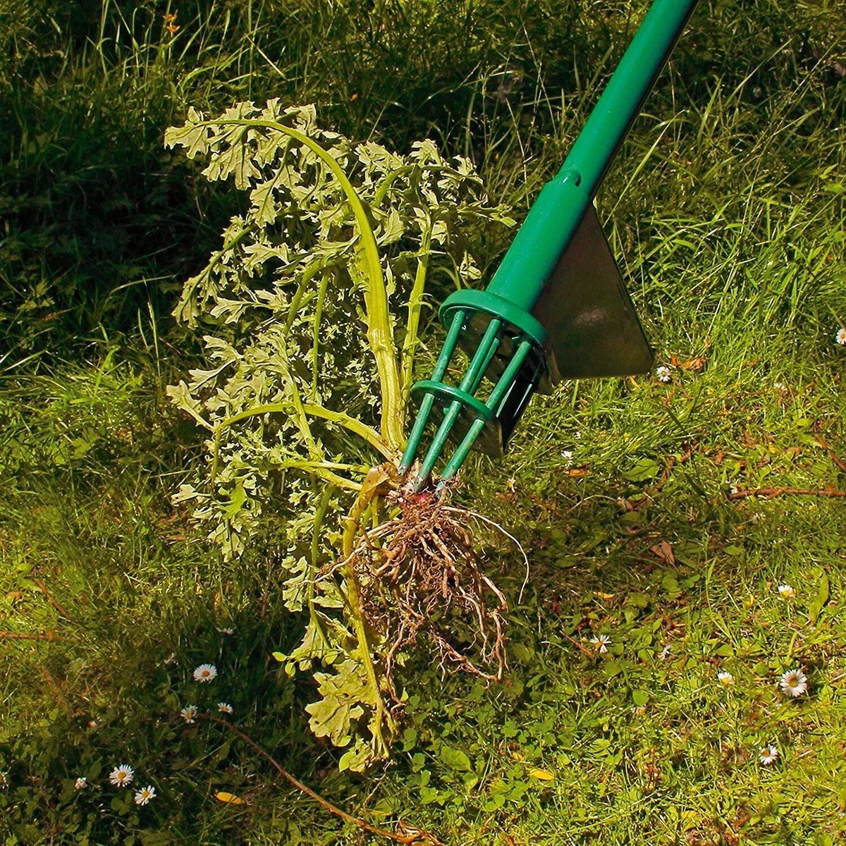 Weed picker deals