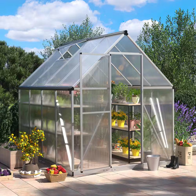 6 Ft. W X 8 Ft. D Polycarbonate Greenhouse for Outdoors, Walk-In Green House Kit