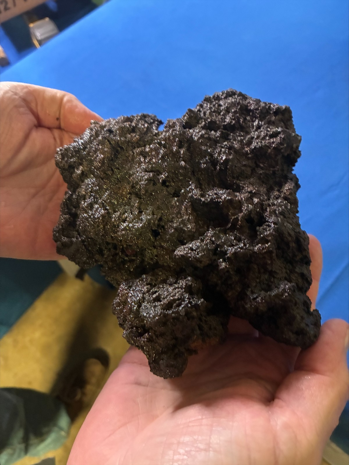 Aquarium Lava Stone Aquascape Terrarium  5 Pieces 7.7lbs