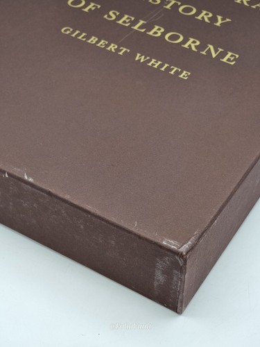 Natural History of Selborne - Gilbert White - Folio Society - 2009 1st ed. - VGC - Imagen 12 de 20
