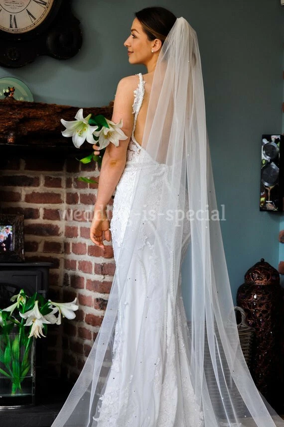Long ivory best sale veil with crystals