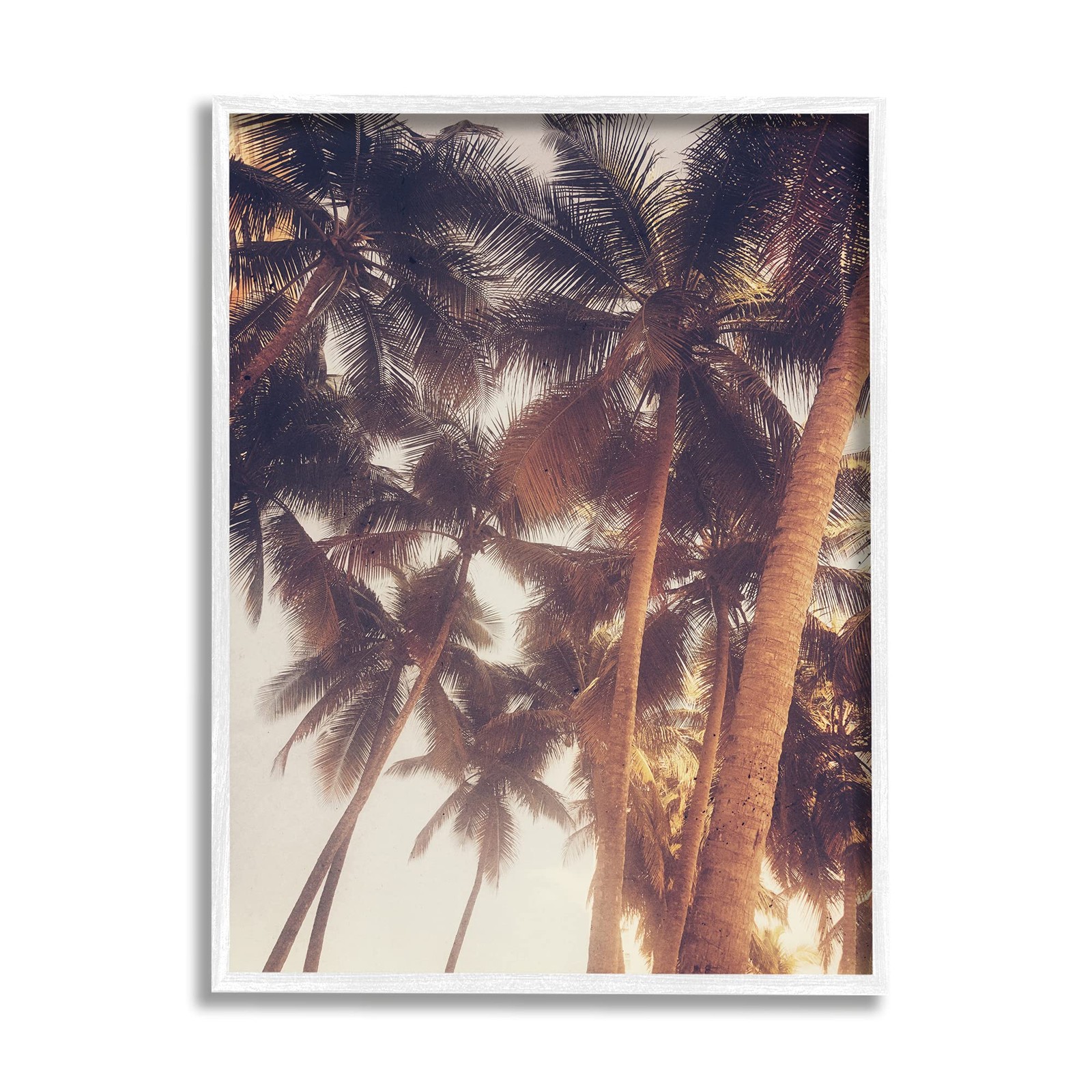 Sun Bleached Palm Tree Tops Vintage Summer Sky Art Print by Acosta in White Frame