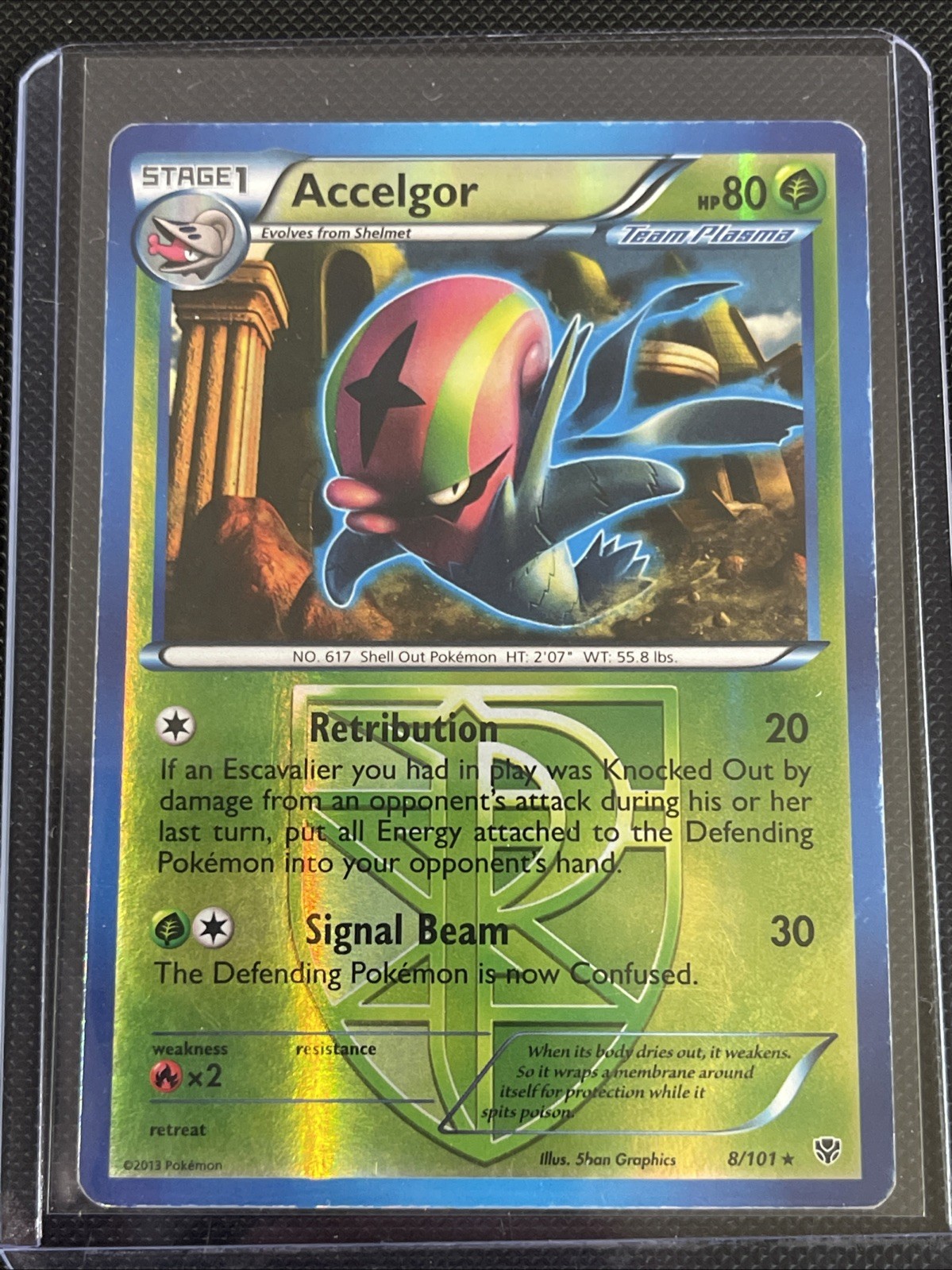 Accelgor (Team Plasma) 8/101 Plasma Blast Reverse Holo
