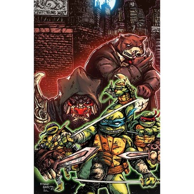 Teenage Mutant Ninja Turtles #14 Cover E 1:25 Eastman & Bishop Full Art IDW