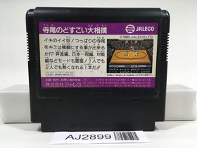 AJ2899 Terao no Dosukoi Ozumo Sumo Nintendo Famicom NES Japan