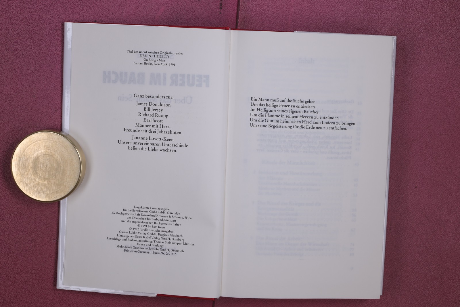 349003 Sam Keen FEUER IM BAUCH Deutscher Taschenbuch Verlag Über das Mann Sein