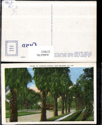 217815,Louisiana New Orleans St Charles Avenue Palms Palmen