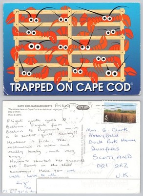 c42732 Hummer gefangen in Kiste Cape Cod Massachusetts USA Postkarte 2002 Briefmarke