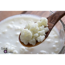 Milk kefir, kefir tubers, Tibetan mushroom, k...