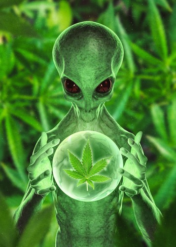 Cannabis Stoner Posters Retro Ganja Weed Gamer Wall Art Marijuana Poster Print - Picture 7 of 45
