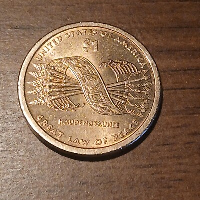 2010 P Sacagawea One Dollar Coin, No Date on Front | eBay