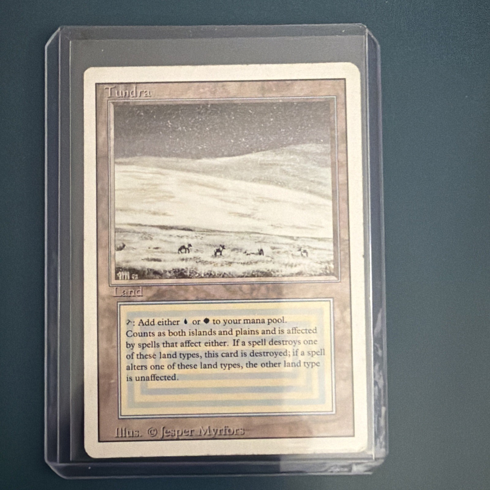 MTG Tundra Revised Edition - Good Condition