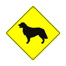 Golden Retriever Dog Symbol Crossing Animal Novelty Aluminum Metal Sign