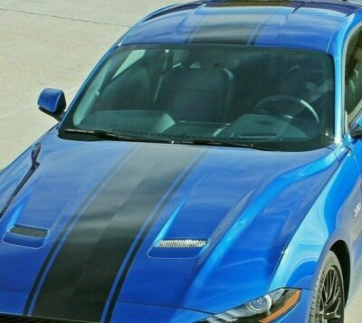 Rennstreifen Einzelstreifen passt Ford Mustangs Style ABZIEHBILD GRAFIK