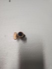 (364)  Vintage 1/4 Inch Brass Valve With Female Openings On Each End. — photo 2