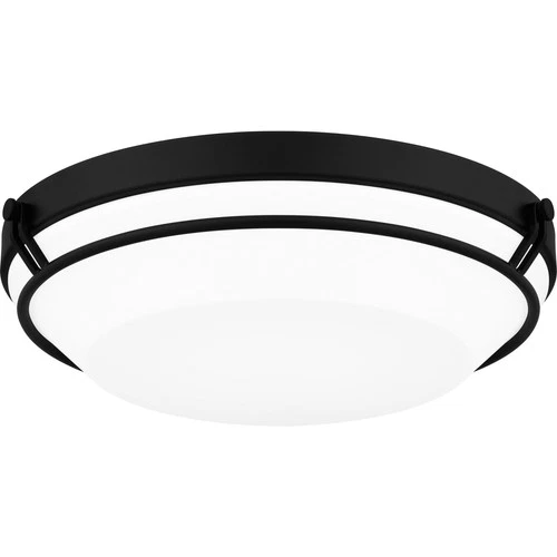 Quoizel DNB1616 Dunbar 16"W LED Flush Mount Ceiling Fixture - Black - Picture 7 of 12