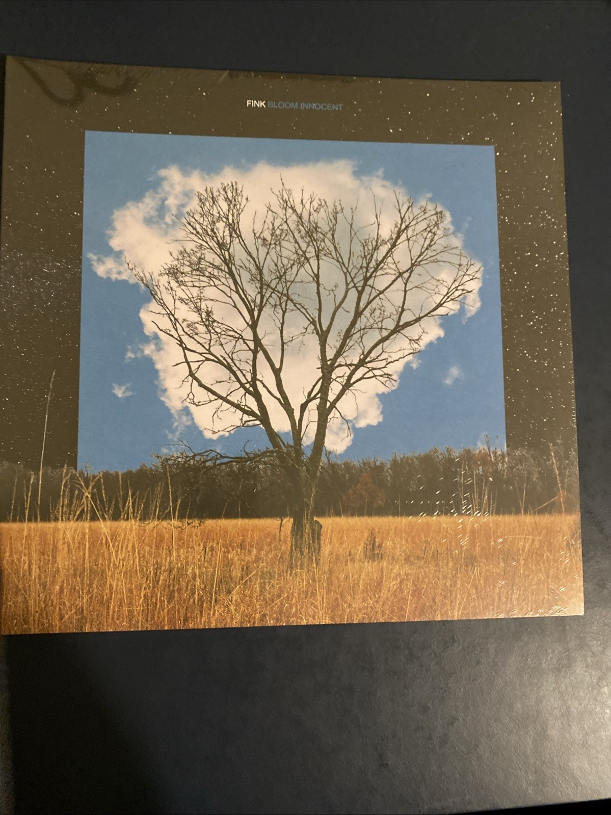 Fink - Bloom Innocent LP - R'COUP'D Sealed 2019