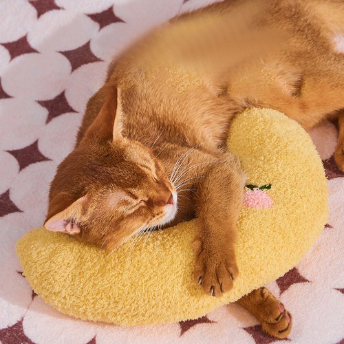 Cuscino Collo Dormire Gatto Piccolo Cuscino per Gatti Comodo Cuscino per Gatti a Forma di U - Foto 5 di 12