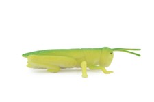 Grasshopper, Locust, Rubber Insect, Realistic Model, Toy  4.5" ABC10B263