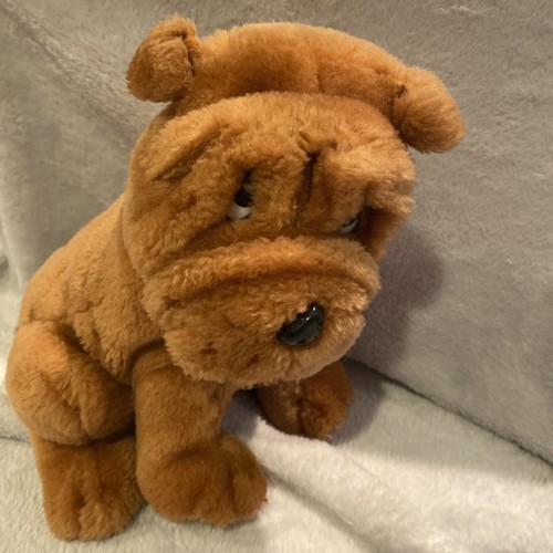shar pei teddy