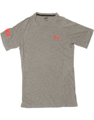 Puma Herren Graphic T-Shirt Oberteil Medium Grey CB11