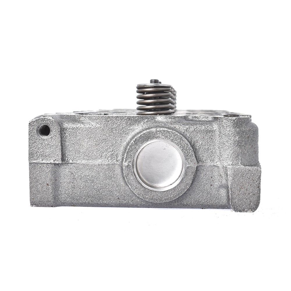 NEW Complete Cylinder Head with Valves + Full Gasket For Kubota D902 RTV900