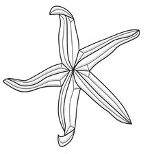 8-1/4"X 8" Exquisite Clear Glass Starfish Bevel Cluster EC303