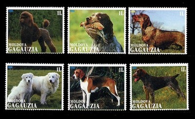 DRAHTDACKEL MAREMMA DEUTSCHER ZEIGERPUDEL HUND STEMPELSET Gagausia 6 1999