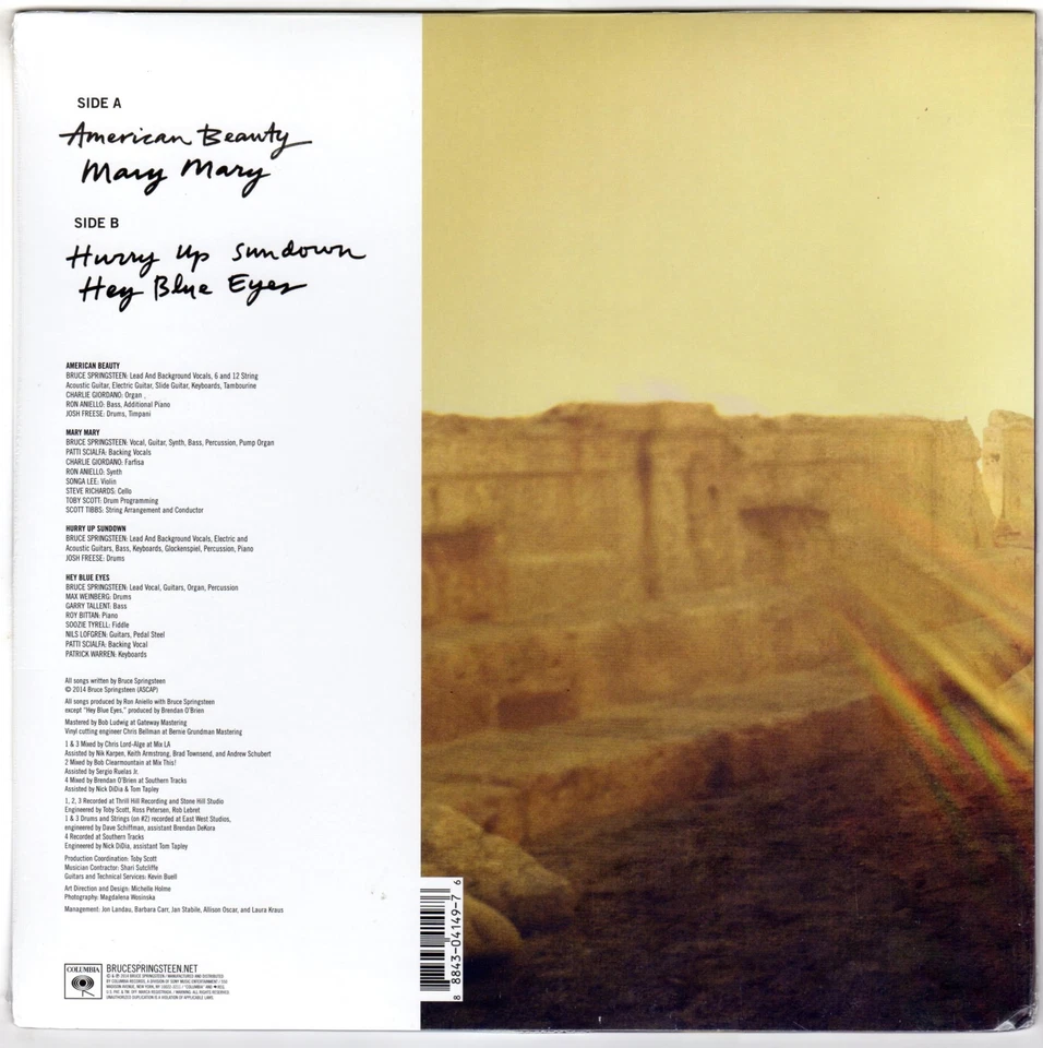 Bruce Springsteen American Beauty 12" RSD EP SEALED Limited Edition of 7500 - Image 2 of 3