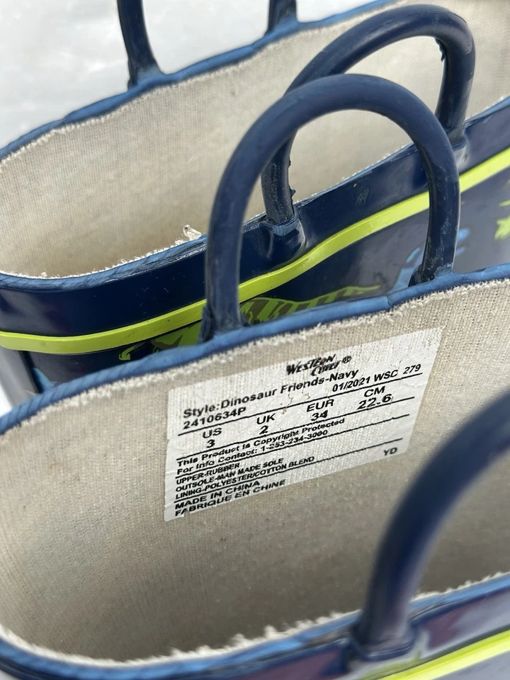 Botas de lluvia Western Chief Dinosaur Youth 3 Foto 4 de 4