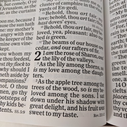 Holy Bible 2019 Super Giant Print King James KJV Brown Leathertouch Holman Bible - Picture 10 of 14