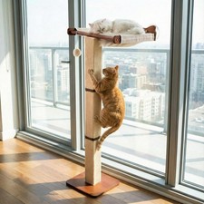 Cat Window Perch with Scratching Post Climbing Tree Hammock Mounted with Suct...