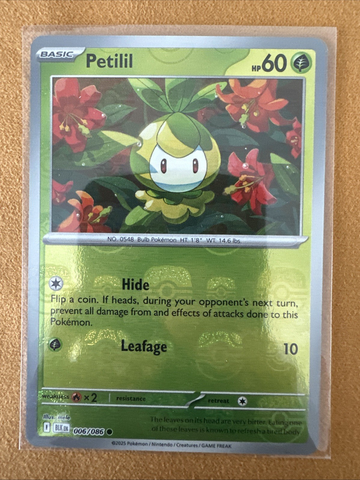 Pokemon TCG Petilil (Master Ball Pattern) 006/086 Sv: Black Bolt Holo NM/MINT