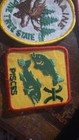 Mixed Vintage Embroidered Boyscout Patches, Johnson Maine Pisces Tuff-Kote Dino — photo 8