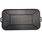Rare Griswold’s No. 11 Cast Iron Rectangle Griddle ERIE 2434 Griswold No Logo