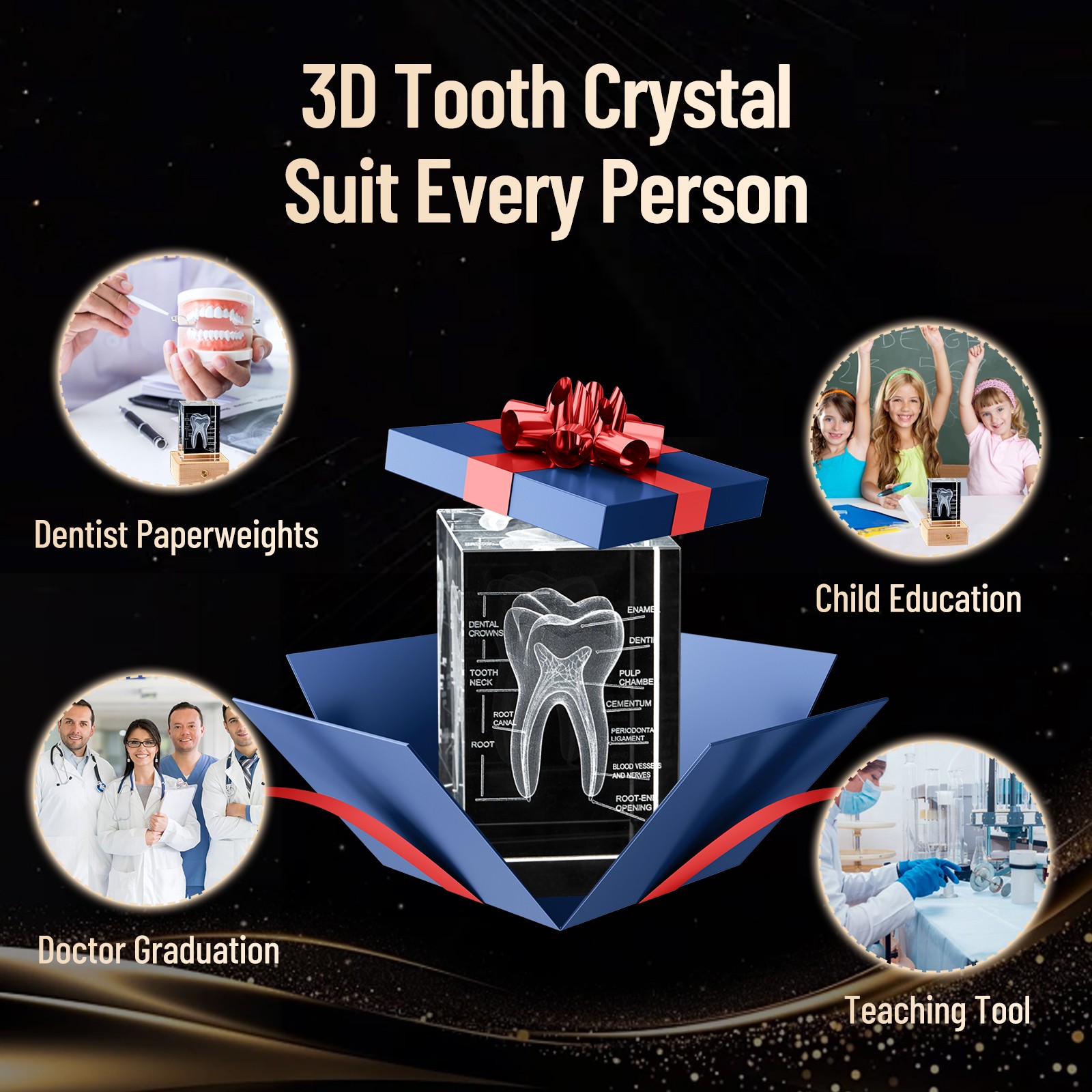 Tooth Ornament 3D Human Tooth Crystal Model for Home Decoration Dentists Gifts