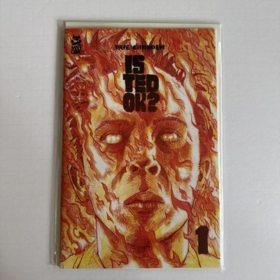 Is Ted Ok #1  Dave Chisholm Cover A (2026 Mad Cave Studios) Low Print NM
