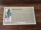 GI Joe Cobra Ninja Viper 1992 File Card *MAIL AWAY, AUTHENTIC! * v1 Vintage Rare