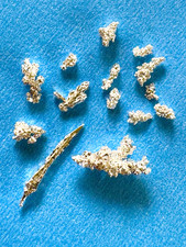 1.221 grams Dendritic .9999 Pure Crystallized Silver Pieces , beautiful shapes
