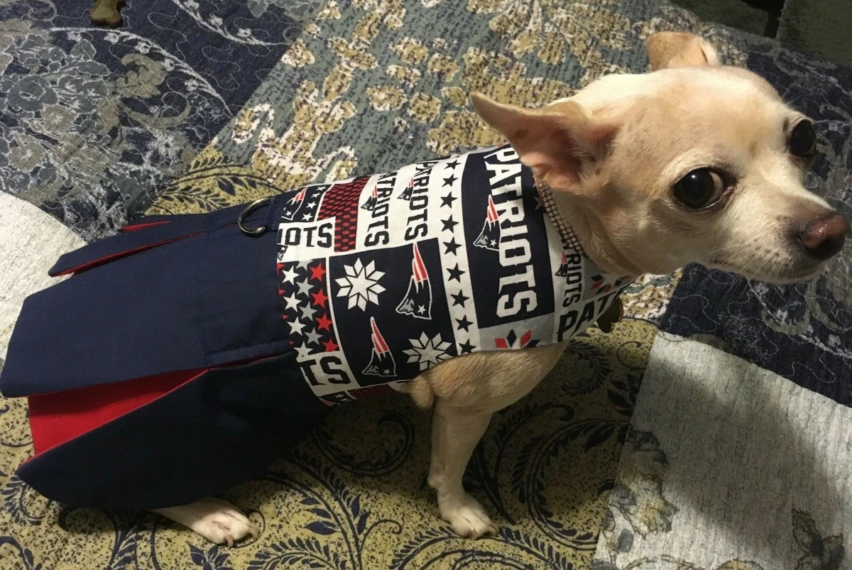 NFL New England Patriots Cheerleader Dress for Small Dog eBay