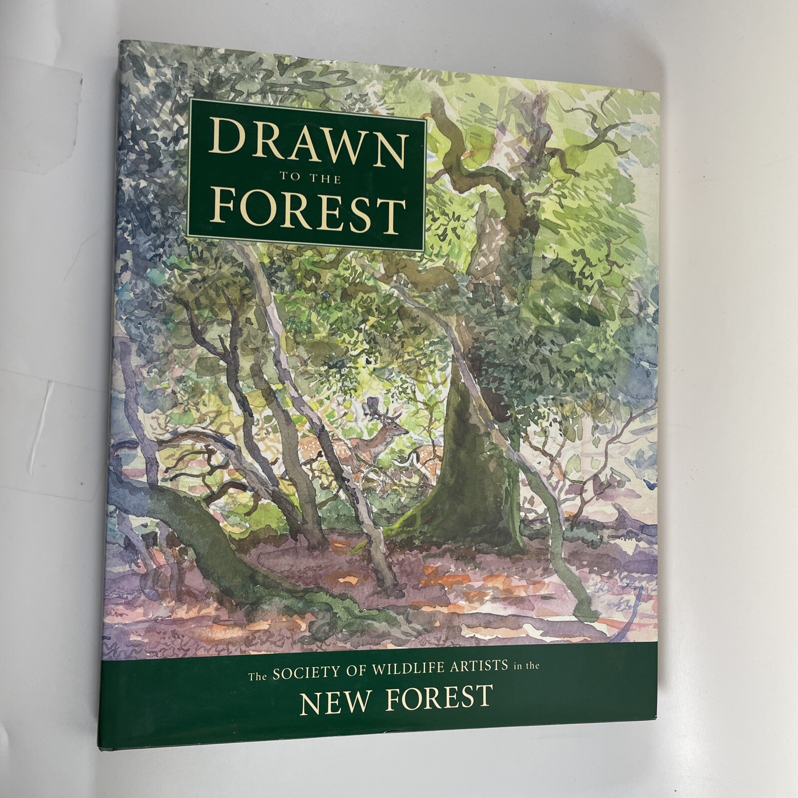Drawn to the Forest - Art of the New Forest - Robert Burton (HB DJ 1st Ed 2000)