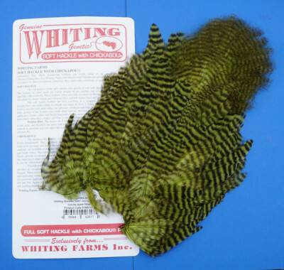Whiting Softhackle & Chickabou GRIZZLY dyed OLIVE