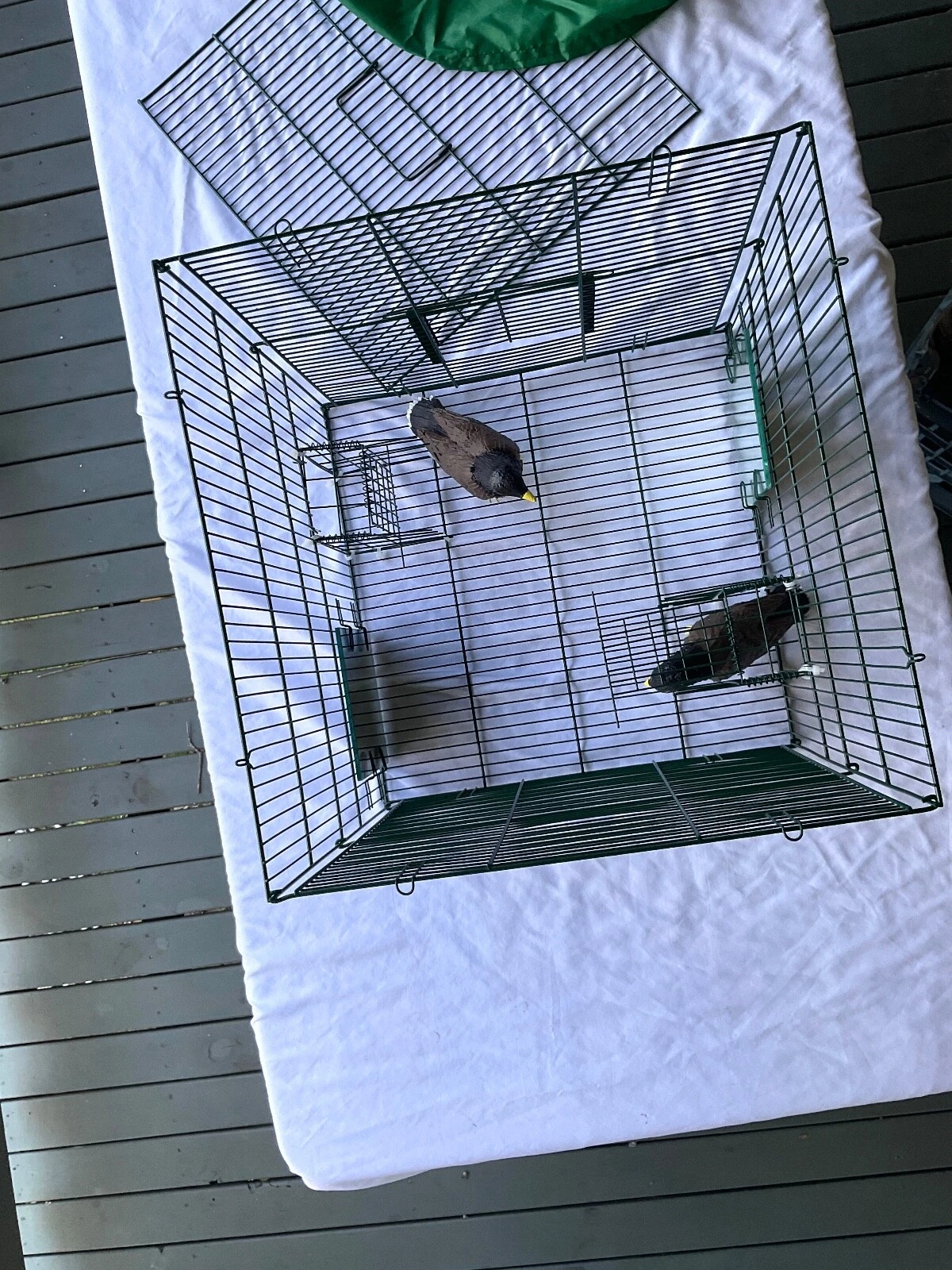 Picture 6 of 24