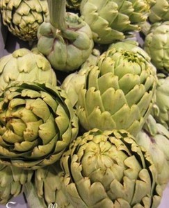 Artichaut Vert Globe Cynara Scolymus Graines Plante